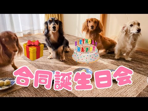 ５歳【りく】６歳【そら】になりました