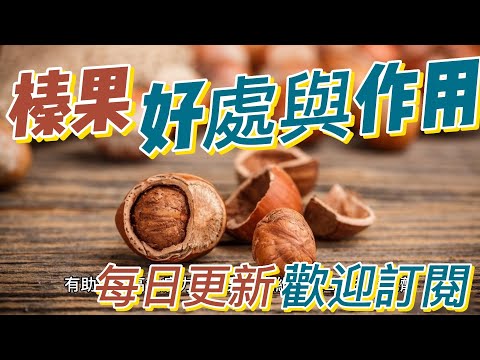 EP135 榛果 hazelnut的好處與作用 促進骨骼健康 改善消化 健康  養生 天然 食療 原