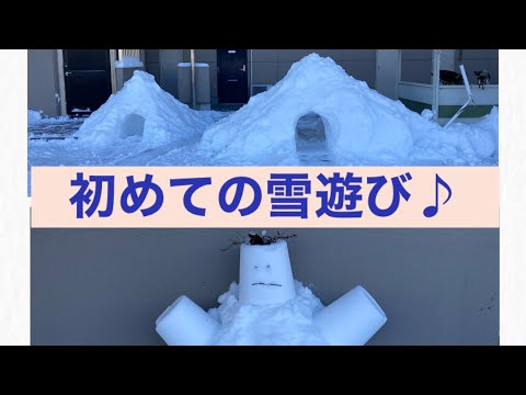 3歳5ヶ月・かまくら・雪だるま