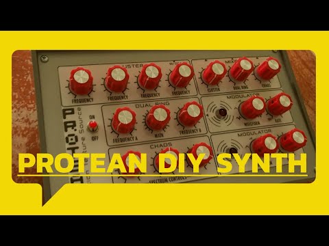 Crazy Little Synth | Protean DIY