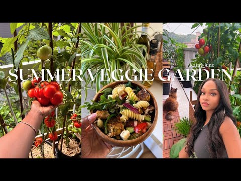 JAPAN MID SUMMER VEGETABLE GARDEN! My summer balcony garden update + gardening tips and recipes