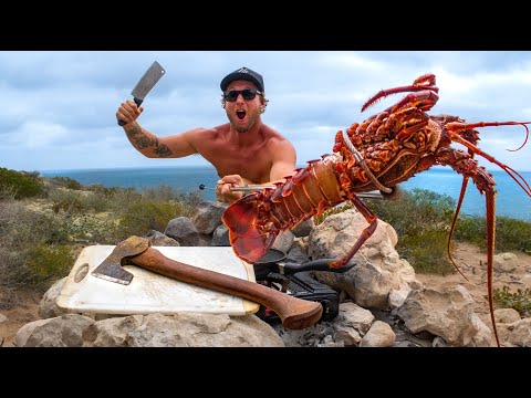 Bare Handed Catching LOBSTER in Rock Pools - Catch and Cook