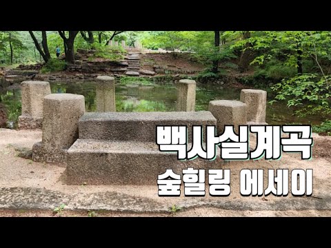 서울 종로 숲속 여행 이항복의 별장터 백사실계곡을 다시 찾다, 영상에세이