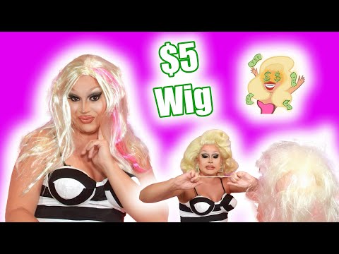 This Wig Fights Back! Dollar General Wig Transformation