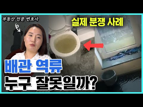 하수구 역류, 배관 역류 시에 이렇게 처리해야 합니다.