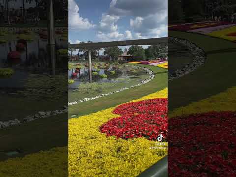 EPCOT Flower and Garden Festival “Art Project” #disneyworld #disney #epcot #flowerandgardenfestival