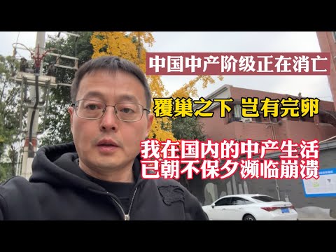 中国中产阶级正在消亡 覆巢之下岂有完卵 我在国内的中产生活已朝不保夕濒临崩溃