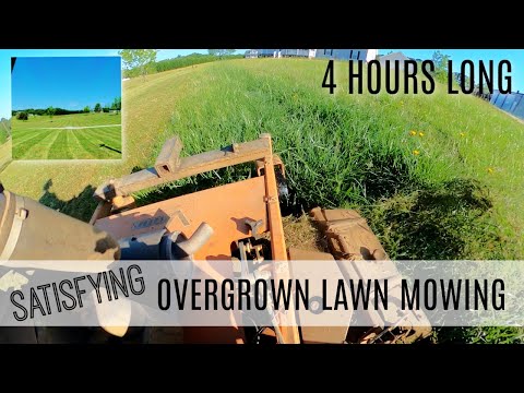 Satisfying Lawn Mowing | Overgrown Lawn