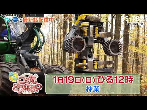 1/19(日)ひる12時　【関口宏のこの先どうなる！？】国土の7割が森林の、日本の林業復活のカギは？