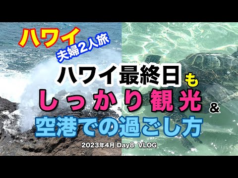 【31】2023年4月 夫婦ハワイ旅行 最終日 最後の半日を思いっきり過ごした模様をお届けします【Apr. Day8】