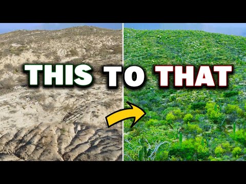 Epic Transformation Turning Desert Erosion Into Thriving Farm & Ecosystem!