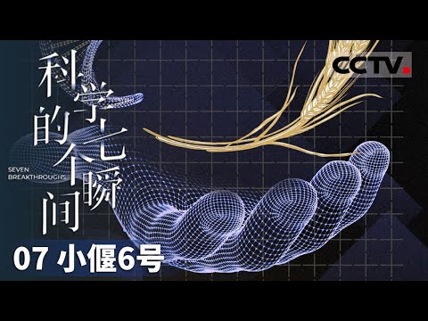 《科学的七个瞬间》07 小偃6号：李振声团队25年磨一剑 成功培育高产优质小偃6号 开创小麦育种新纪元！【CCTV纪录】