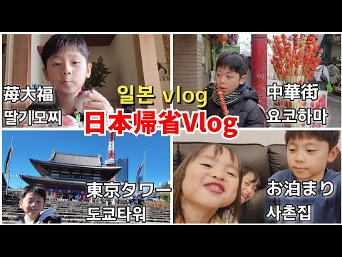 日韓ハーフ小学生｜一回り成長した日本帰省vlog｜ 祖父母との思い出