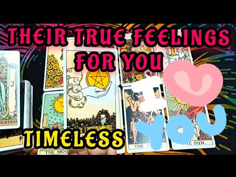 Quick energy update 💗their feelings for you💗hindi/english tarot 💗timeless reading 💗