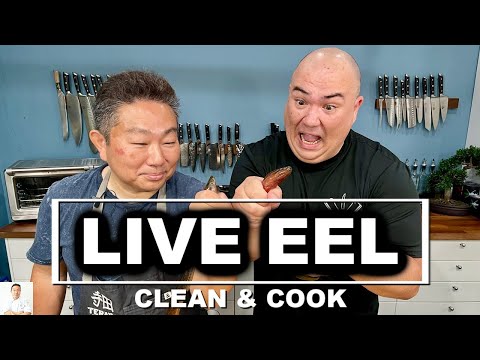 LIVE EEL, Catch, Clean & Cook FEAT. Sous Vide Everything