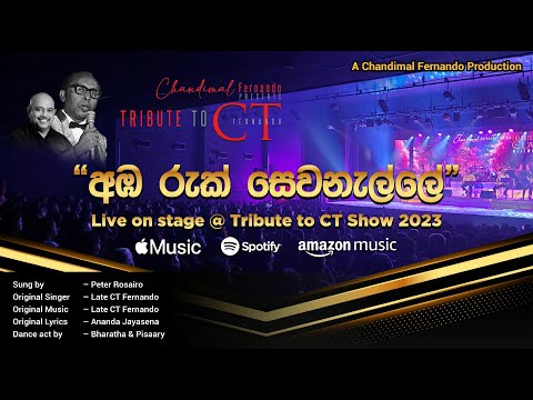 Aambaruk Sewanalle - Live Cover @ "Tribute to CT 2023" by Chandimal Fernando