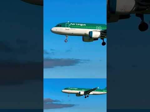 Aer Lingus ☘️ 🇮🇪 landing at Barcelona AirPort #youtubeshorts #remix #planespotting #shorts #short