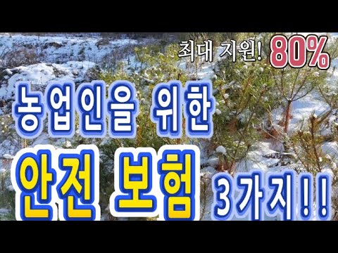 농업인을 위한 안전보험 3가지!!_정부지원 최대 80% (농업인 안전보험, 농작업 근로자 안전보험, 농기계 종합보험) , NH농협생명