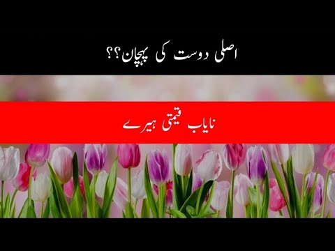 Golden words pak | nayab moti | islamic quotes | pak voice