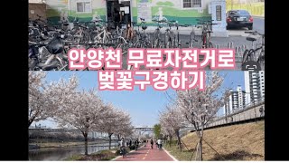 금천구청역 무료자전거대여로 안양천부터 한강까지 벚꽃구경!