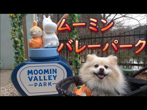 【犬と旅行】ポメを連れてムーミンバレーパークへ。メランコリックなムーミンの世界で癒される男と犬。スナフキンとの奇跡の邂逅を果たした2人の行方は...【ムーミンバレーパーク編】