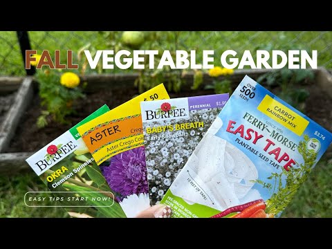 2024 FALL Vegetable Garden | Tips | Start Now