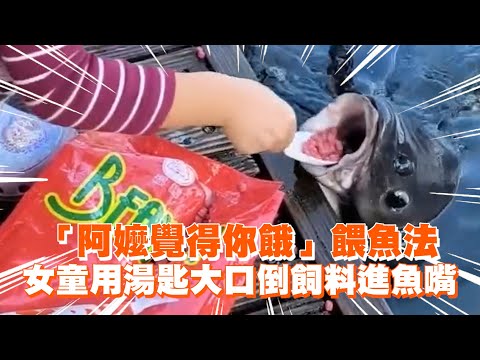 「阿嬤覺得你餓」餵魚法　女童用湯匙大口倒飼料進魚嘴｜萌娃