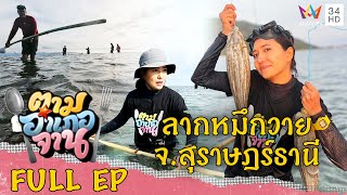 [ENG-SUB] ลากหมึกวาย เกาะพะงัน จ.สุราษฎร์ธานี | ตามอำเภอจาน | 10 มิ.ย.66 Full EP