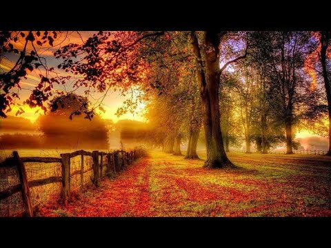 Natural Beutiful Relaxing Music । St. Francis - Josh Lippi & The Overtimers । No Copyright Music