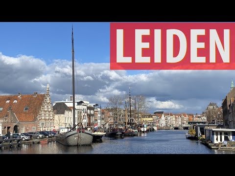 Leiden- Top 10 Things to See & Do