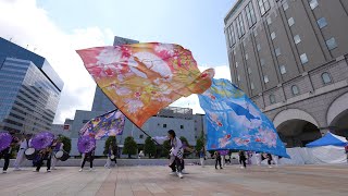 夜桜金魚とまこまいJAPAN with風雪太鼓 📍YOSAKOIソーラン祭り (JR札幌駅南口会場) 2023-06-10T12:48