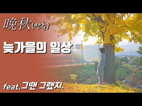 전원주택의 늦가을 일상(feat.80년대 감성 멘트), 전원생활 브이로그, 낭만아빠