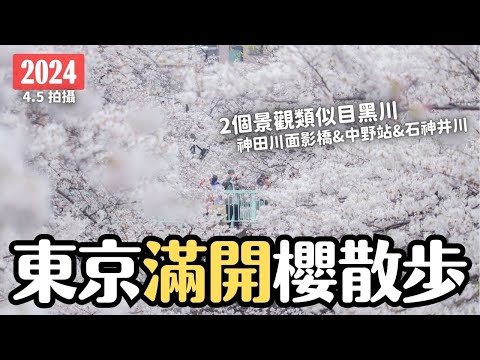 東京櫻花現況2024🌸 目黑川大修剪不壯觀可去哪？3 個現正滿開賞櫻地 神田川面影橋 中野站天橋西武電車櫻花 石神井川｜日本旅遊 4K VLOG