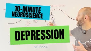 10-Minute Neuroscience: Depression