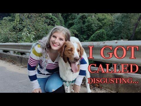 Called DISGUSTING for Needing a Service Dog!?!   (Service Dog Horror Story)