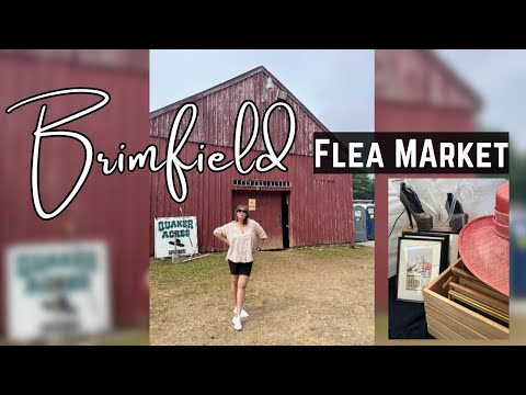 Drive-by with me 🔶 Largest ANTIQUE Show in New England