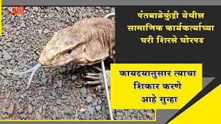 A Monitor Lizard entered in bedroom of a house at Pant Balekundri Near Belgaum