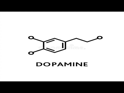 Dopamine Boost + System Repair - (Morphic Field)