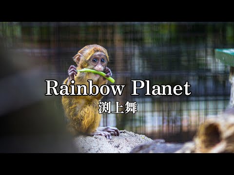 高音質カラオケ Rainbow Planet渕上舞 (高品质卡拉OK 彩虹星球 渊上麻衣)