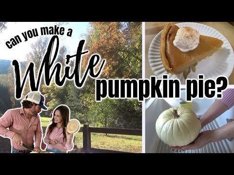 How to make White Pumpkin Pie from scratch! | Thanksgiving Recipes