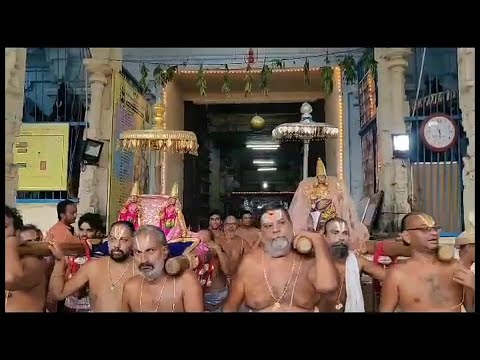 Kanchi Varadarajan - Kodai Uthsavam (2023) Day 03 Highlights_2m 04s