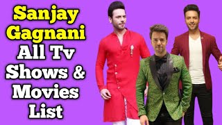 Sanjay Gagnani All Tv Serials List || Full Filmography || Indian Actor || Prithvi of Kundli Bhagya