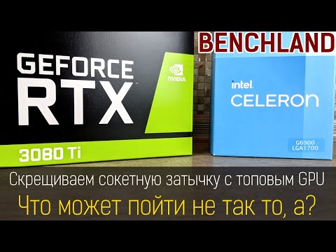 Celeron G6900 + GeForce RTX 3080 Ti. Связка, которая уничтожает... здравый смысл.