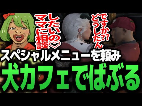 猫カフェの裏メニューで甘えん坊さんになる高木【餡ブレラ/ストグラ/ralph/麻林ラル】