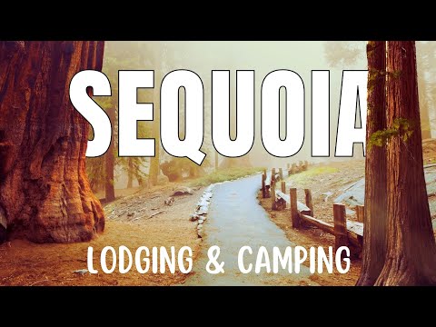 ACCOMMODATION - Lodges and Camping - in Sequoia NP