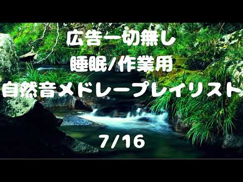 【広告無】四季の森公園   カエルの鳴き声と春一番　メドレー【自然音】