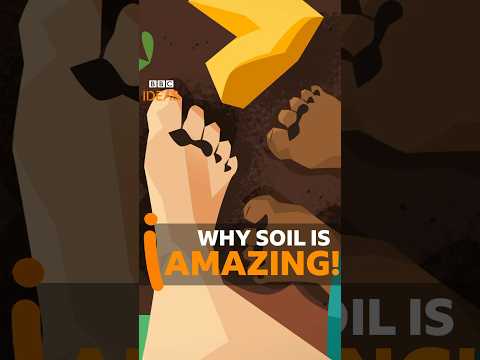 Soil is AMAZING! #Soil #Shorts #BBCIdeas