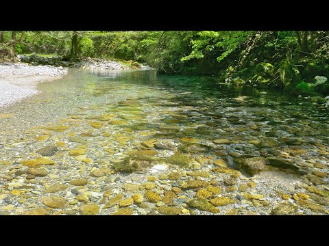 川のせせらぎの音 ASMR【円原川 】Relaxing Nature sounds - River sounds 1hr