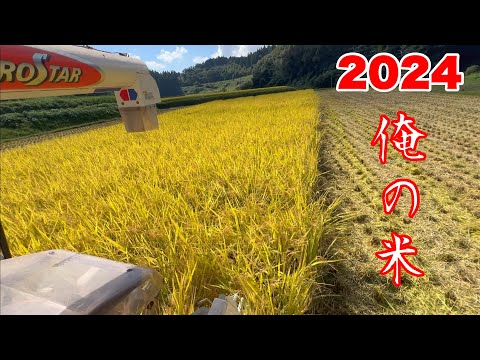 俺の稲刈り2024　新米はやっぱり旨かった