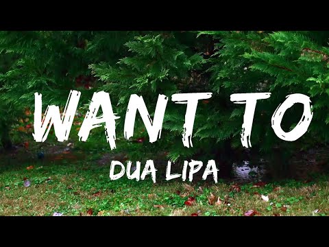 Dua Lipa - Want To (Lyrics)  | Music one for me